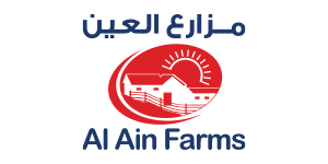 TshirtWorld example image